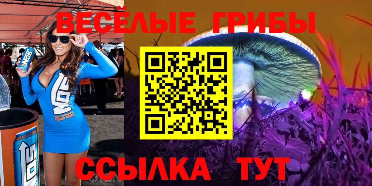 Псилоцибиновые грибы GOLDEN TEACHER  Вход с VPN  Россошь  Галлюциногенные грибы Psilocybine cubensis 
