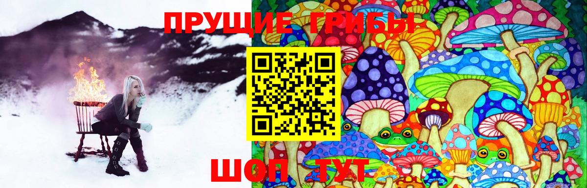 Галлюциногенные грибы MAGIC MUSHROOMS Россошь
